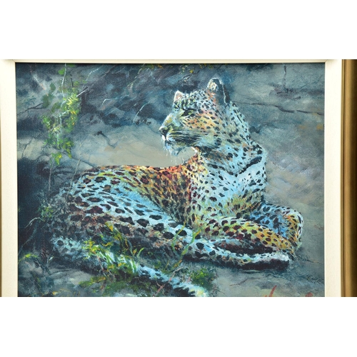 318 - ROLF HARRIS (AUSTRALIAN 1930) 'LEOPARD RECLINING AT DUSK', signed limited edition print, 84/195 no c... 