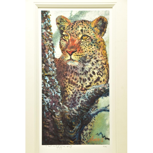330 - ROLF HARRIS (AUSTRALIA 1930) 'ALERT FOR PREY' a limited edition print of a Leopard 62/195, signed to... 