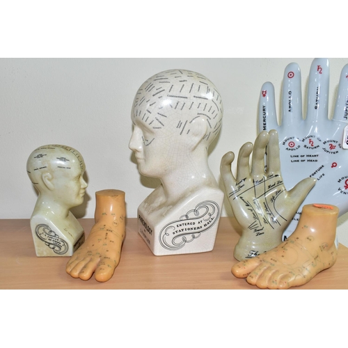 380 - A COLLECTION OF PHRENOLOGY, PALMISTRY AND OTHER MODELS, comprising two ceramic phrenology heads prin... 