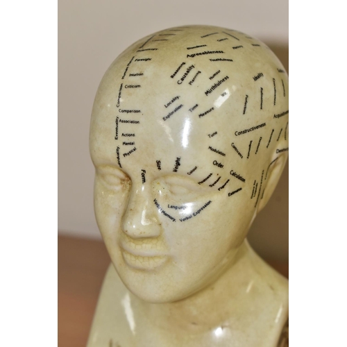 380 - A COLLECTION OF PHRENOLOGY, PALMISTRY AND OTHER MODELS, comprising two ceramic phrenology heads prin... 