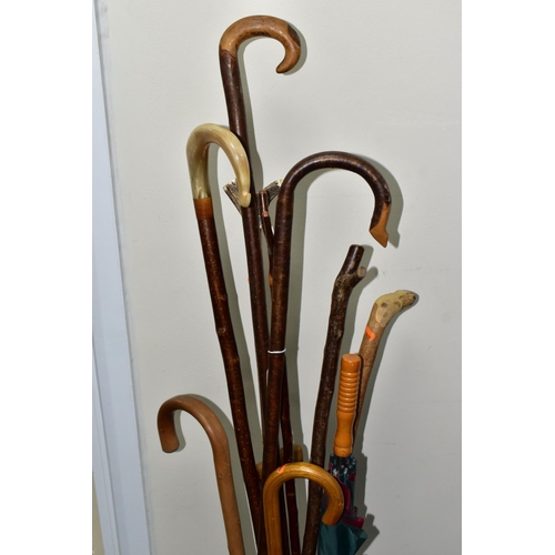 477 - A STICK STAND OF WALKING STICKS AND UMBRELLAS, to include a Knobkerrie length 77.5cm (splits to base... 