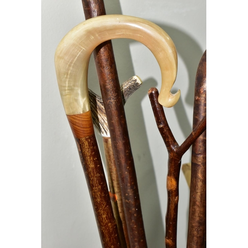 477 - A STICK STAND OF WALKING STICKS AND UMBRELLAS, to include a Knobkerrie length 77.5cm (splits to base... 