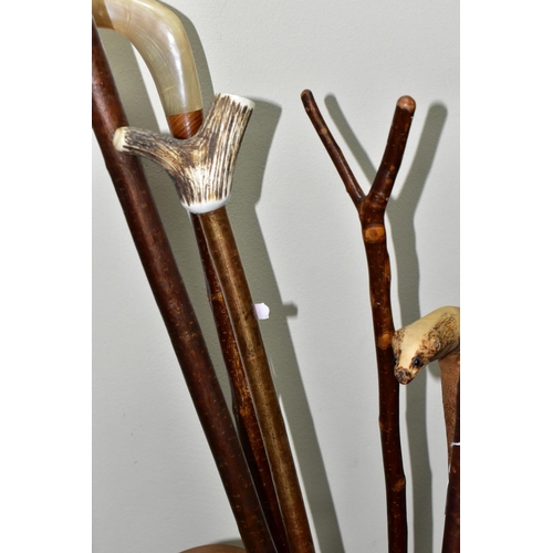 477 - A STICK STAND OF WALKING STICKS AND UMBRELLAS, to include a Knobkerrie length 77.5cm (splits to base... 