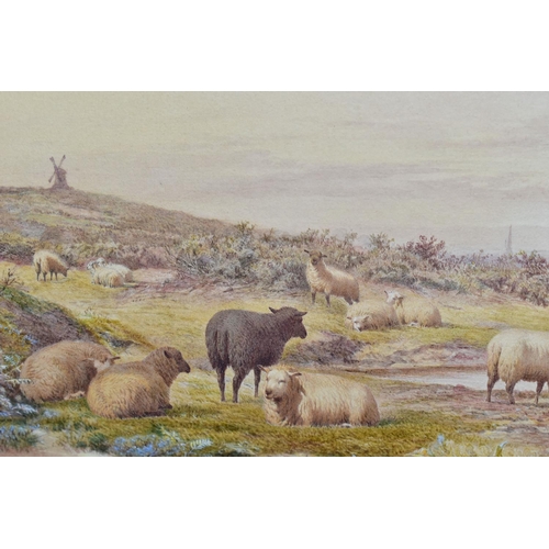 492 - FREDERICK WILLIAMSON (BRITISH 1835-1900), UNTITLED PASTORAL LANDSCAPE, sheep are grazing and resting... 