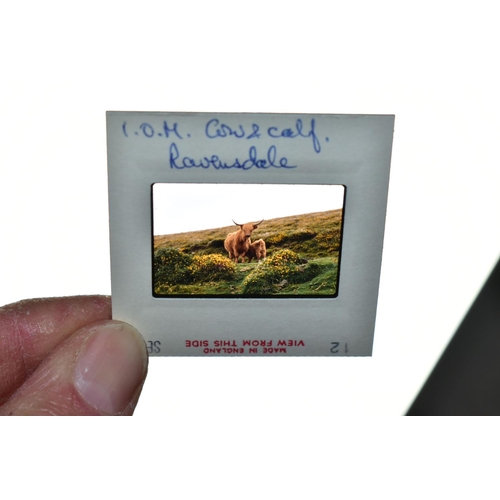 498 - KODACHROME 35mm Colour Slides, a vast quantity of Holiday slides (1000's) from the British Isles, Eu... 