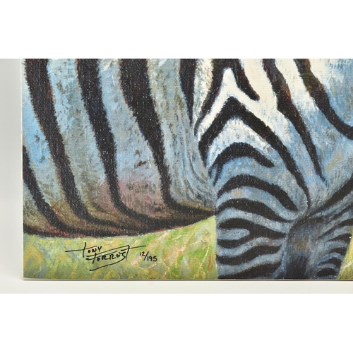 304 - TONY FORREST (BRITISH 1961) 'NEAREST AND DEAREST', a signed limited edition print depicting zebras, ... 