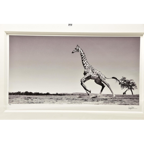 312 - ANUP SHAH (KENYA CONTEMPORARY) 'DANCE', a signed limited edition photographic print depicting a gira... 