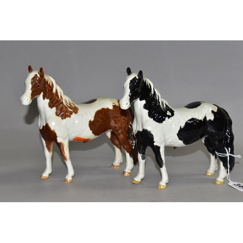 344 - TWO BESWICK PINTO PONIES, model no 1373, first version, one piebald and one skewbald, each bearing p... 