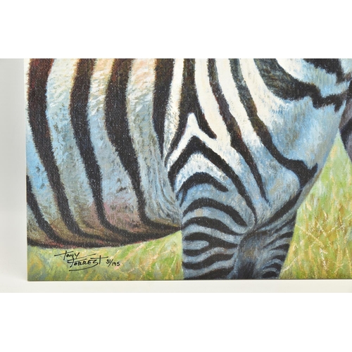 305 - TONY FORREST (BRITISH 1961) 'NEAREST AND DEAREST', a signed limited edition print depicting zebras, ... 