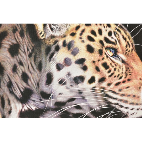 310 - DARRYN EGGLETON (SOUTH AFRICA 1981) 'THE WILD SIDE I', a signed limited edition box canvas print dep... 