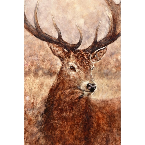 321 - GARY BENFIELD (BRITISH CONTEMPORARY) 'NOBLE' a signed limited edition print of a stag, 13/195, with ... 