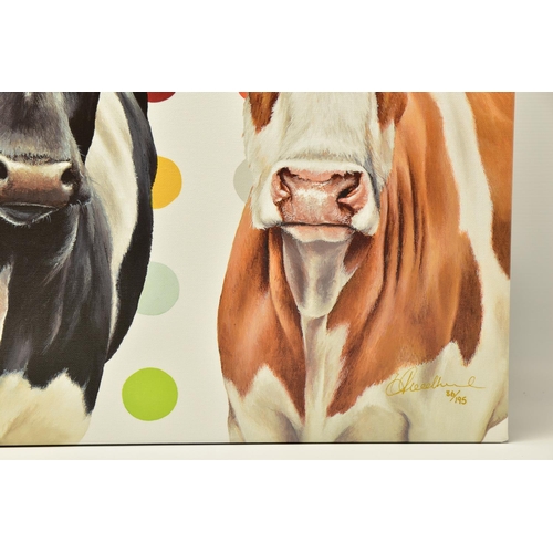 324 - HAYLEY GOODHEAD (BRITISH CONTEMPORARY) 'DAMIEN'S HERD', a limited edition box canvas print depicting... 