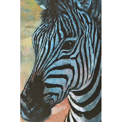 296 - ROLF HARRIS (AUSTRALIAN 1930) 'YOUNG ZEBRA' a signed limited edition print 9/195, signed top right, ... 