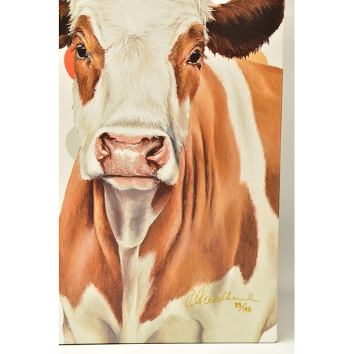 322 - HAYLEY GOODHEAD (BRITISH CONTEMPORARY) 'DAMIEN'S HERD', a limited edition box canvas print depicting... 