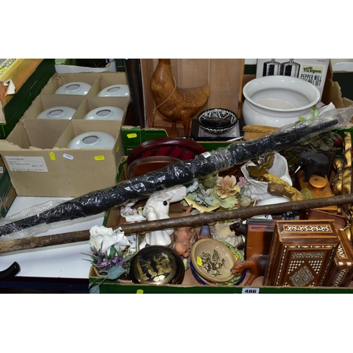 Lot 486       