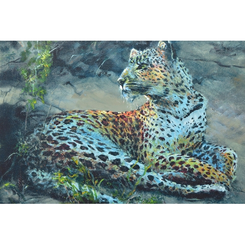 310 - ROLF HARRIS (AUSTRALIAN 1930) 'LEOPARD RECLINING AT DUSK', signed limited edition print, 36/195 with... 