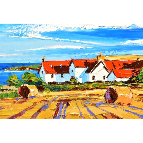 311 - LYNN RODGIE (SCOTTISH CONTEMPORARY) 'AUTUMN HARVEST, ST ABBS', a Scottish coastal village landscape,... 