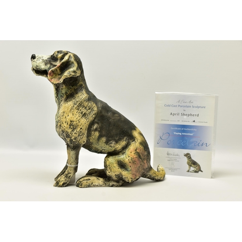 323 - APRIL SHEPHERD (BRITISH CONTEMPORARY) 'PAYING ATTENTION', a limited edition Artists Proof cold cast ... 