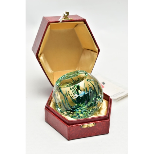 117 - A BOXED LIMITED EDITION PERTHSHIRE 'TROPICAL FISH' GLASS PAPERWEIGHT, containing three tropical fish... 