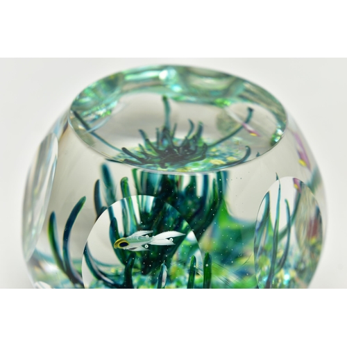 117 - A BOXED LIMITED EDITION PERTHSHIRE 'TROPICAL FISH' GLASS PAPERWEIGHT, containing three tropical fish... 