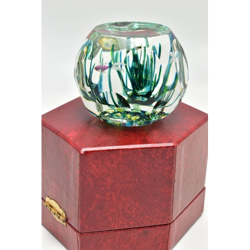 117 - A BOXED LIMITED EDITION PERTHSHIRE 'TROPICAL FISH' GLASS PAPERWEIGHT, containing three tropical fish... 