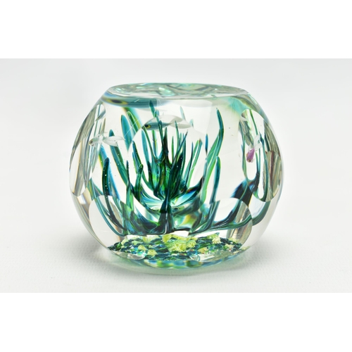 117 - A BOXED LIMITED EDITION PERTHSHIRE 'TROPICAL FISH' GLASS PAPERWEIGHT, containing three tropical fish... 