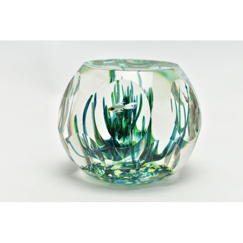 117 - A BOXED LIMITED EDITION PERTHSHIRE 'TROPICAL FISH' GLASS PAPERWEIGHT, containing three tropical fish... 