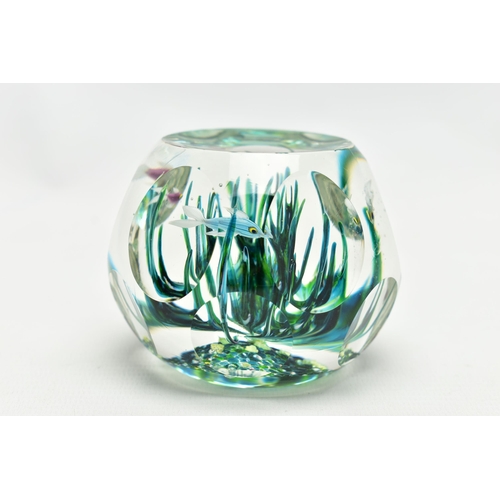 117 - A BOXED LIMITED EDITION PERTHSHIRE 'TROPICAL FISH' GLASS PAPERWEIGHT, containing three tropical fish... 