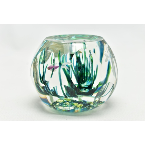 117 - A BOXED LIMITED EDITION PERTHSHIRE 'TROPICAL FISH' GLASS PAPERWEIGHT, containing three tropical fish... 