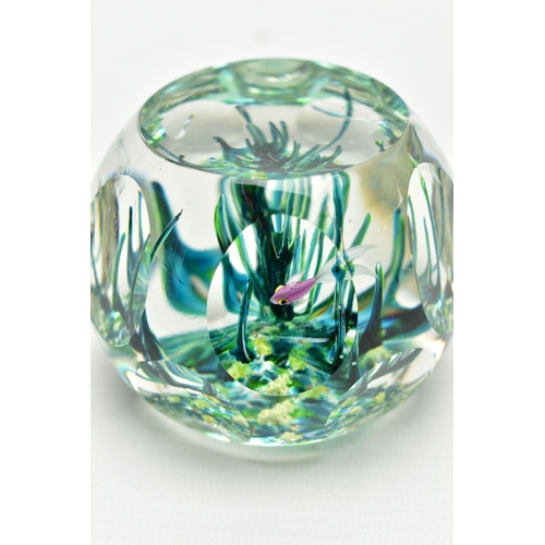 117 - A BOXED LIMITED EDITION PERTHSHIRE 'TROPICAL FISH' GLASS PAPERWEIGHT, containing three tropical fish... 