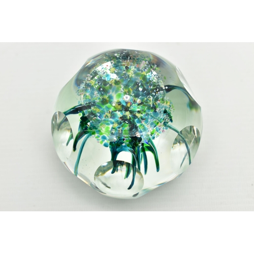 117 - A BOXED LIMITED EDITION PERTHSHIRE 'TROPICAL FISH' GLASS PAPERWEIGHT, containing three tropical fish... 