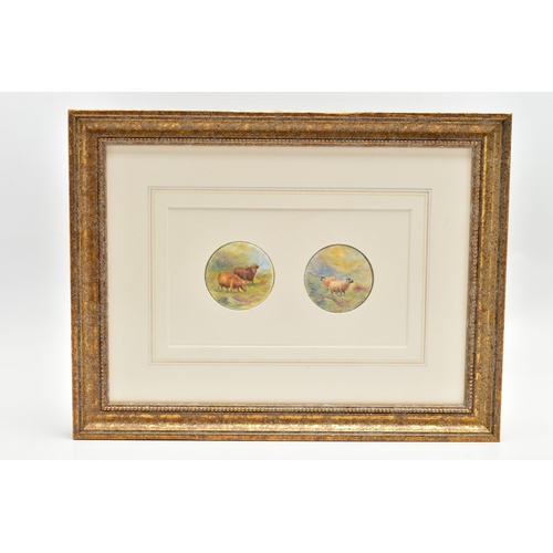 168 - A FRAME CONTAINING TWO 20TH CENTURY CIRCULAR CONVEX PLAQUES HAND PAINTED WITH TWO HIGHLAND CATTLE AN... 