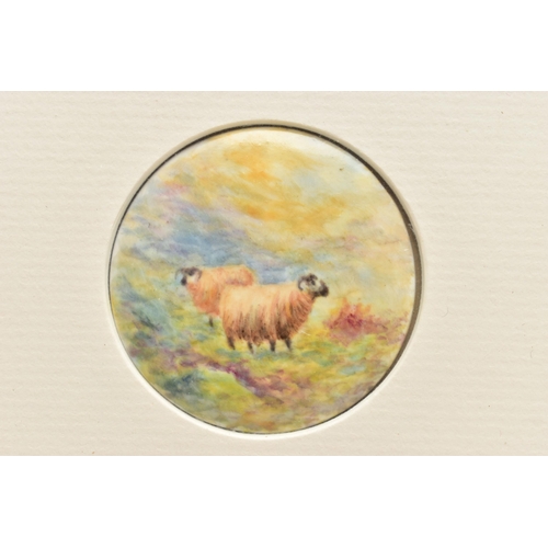 168 - A FRAME CONTAINING TWO 20TH CENTURY CIRCULAR CONVEX PLAQUES HAND PAINTED WITH TWO HIGHLAND CATTLE AN... 