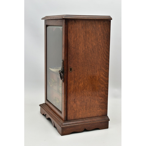 208 - A LATE VICTORIAN OAK CASED SMOKERS CABINET, the bevel edged glazed door opening to reveal a pipe rac... 