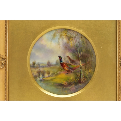 219 - JAMES STINTON FOR ROYAL WORCESTER, a circular framed plaque hand painted with cock and hen pheasant ... 