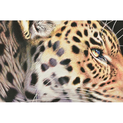 311 - DARRYN EGGLETON (SOUTH AFRICA 1981) 'THE WILD SIDE I', a signed limited edition box canvas print dep... 