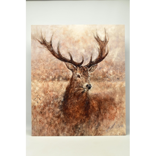 314 - GARY BENFIELD (BRITISH 1965) 'NOBLE',  a signed limited edition print depicting a stag, 18/195 with ... 