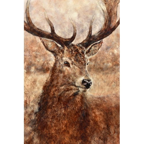 314 - GARY BENFIELD (BRITISH 1965) 'NOBLE',  a signed limited edition print depicting a stag, 18/195 with ... 