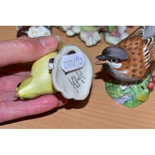 357 - A GROUP OF ROYAL WORCESTER AND AYNSLEY BIRD FIGURES, comprising an Aynsley Yellow Wagtail, Royal Wor... 