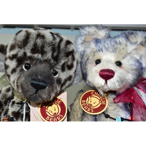 369 - FOUR CHARLIE BEARS TEDDY BEARS,comprising Puddifoot CB114797 limited edition 2430/3000, Laura CB1046... 