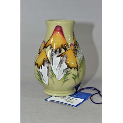 372 - A MOORCROFT POTTERY MAGICAL TOADSTOOL VASE, decorated in the Magical Toadstool pattern, designed by ... 