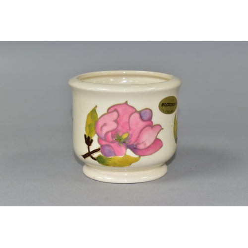 373 - A SMALL MOORCROFT POTTERY JARDINIERE, decorated in Magnolia pattern on a cream ground, impressed mar... 