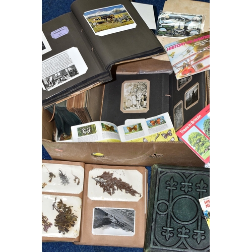 439 - SEVEN PHOTOGRAPH ALBUMS, six dating from the 1940's and Edwardian era featuring Family photographs a... 