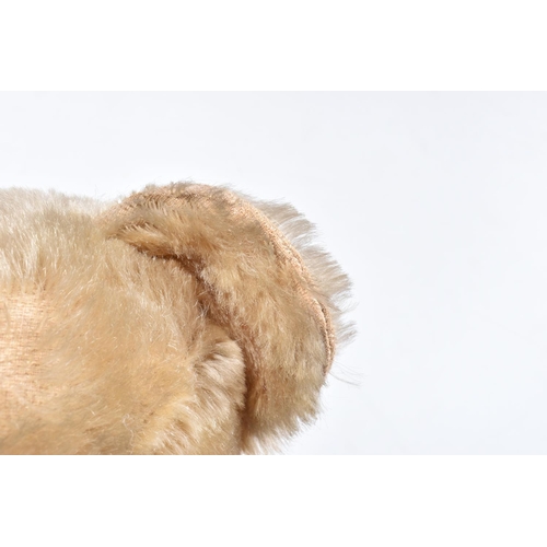 80 - A CHAD VALLEY BLONDE MOHAIR TEDDY BEAR, amber and black glass eyes, shaved muzzle, vertical stitched... 