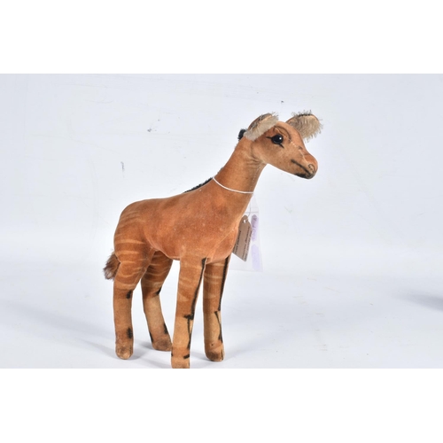 85 - A STEIFF VELVET OKAPI, c.mid 20th century, black glass eyes (one chipped),missing button and label f... 