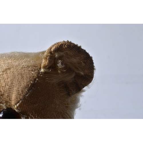 88 - AN FARNELL ALPHA GOLDEN PLUSH MOHAIR TEDDY BEAR, c.1930's, amber and black glass eyes, long muzzle w... 