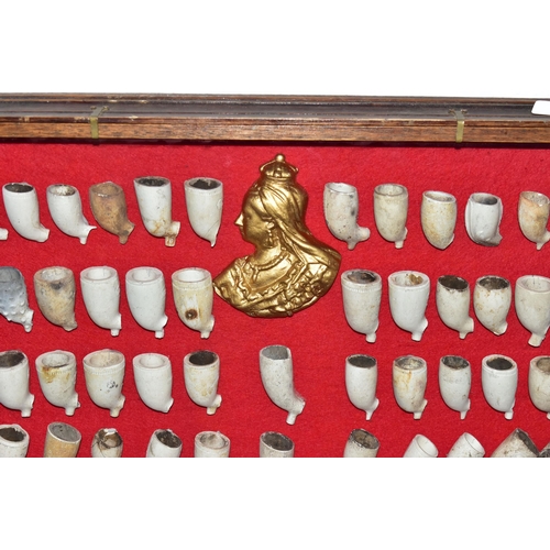 755A - A MODERN GLAZED DISPLAY CASE CONTAINING NINETY ONE MOUNTED CLAY PIPE BOWLS AND A GILT SIDE PROFILE P... 