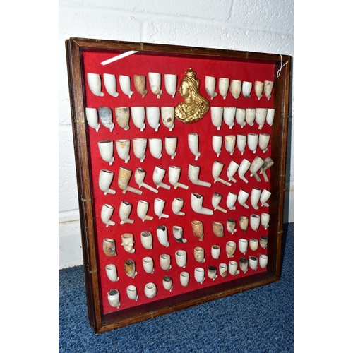 755A - A MODERN GLAZED DISPLAY CASE CONTAINING NINETY ONE MOUNTED CLAY PIPE BOWLS AND A GILT SIDE PROFILE P... 