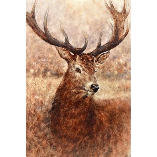 302 - GARY BENFIELD (BRITISH CONTEMPORARY) 'NOBLE' a signed limited edition print of a stag, 19/195, with ... 