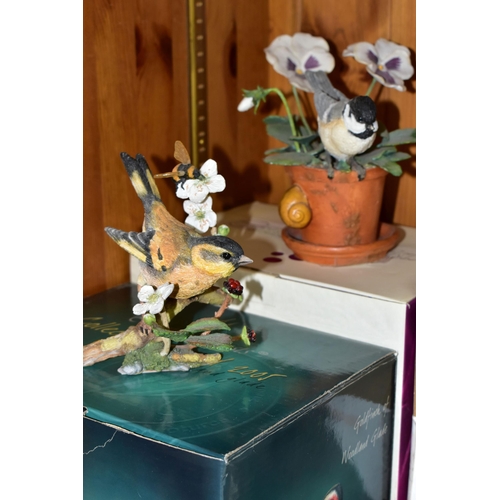 396 - A GROUP OF BOXED BIRD ORNAMENTS, comprising Country Artists 06079 'Wrens on Bird Bath', CA06097 'Kin... 